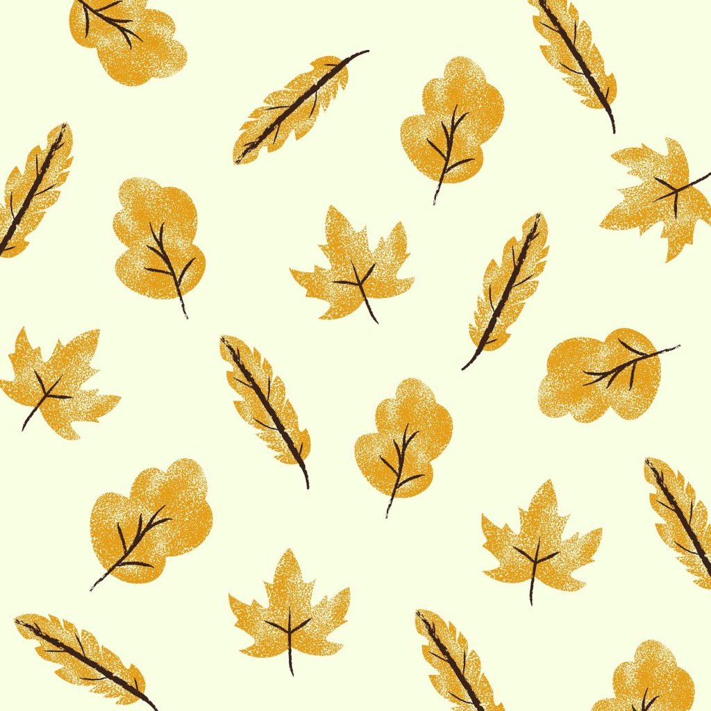 leaves, foliage, maple-5635707.jpg