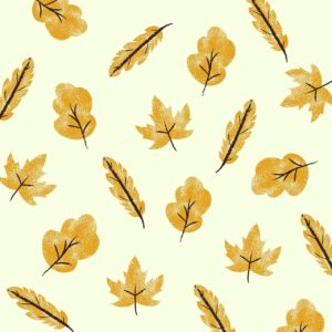 leaves, foliage, maple-5635707.jpg